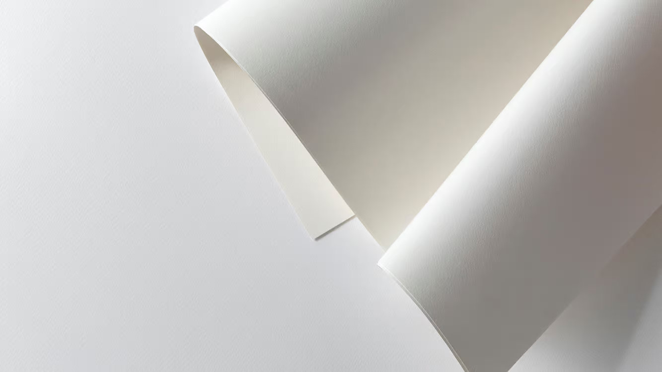 image myInsize Modigliani