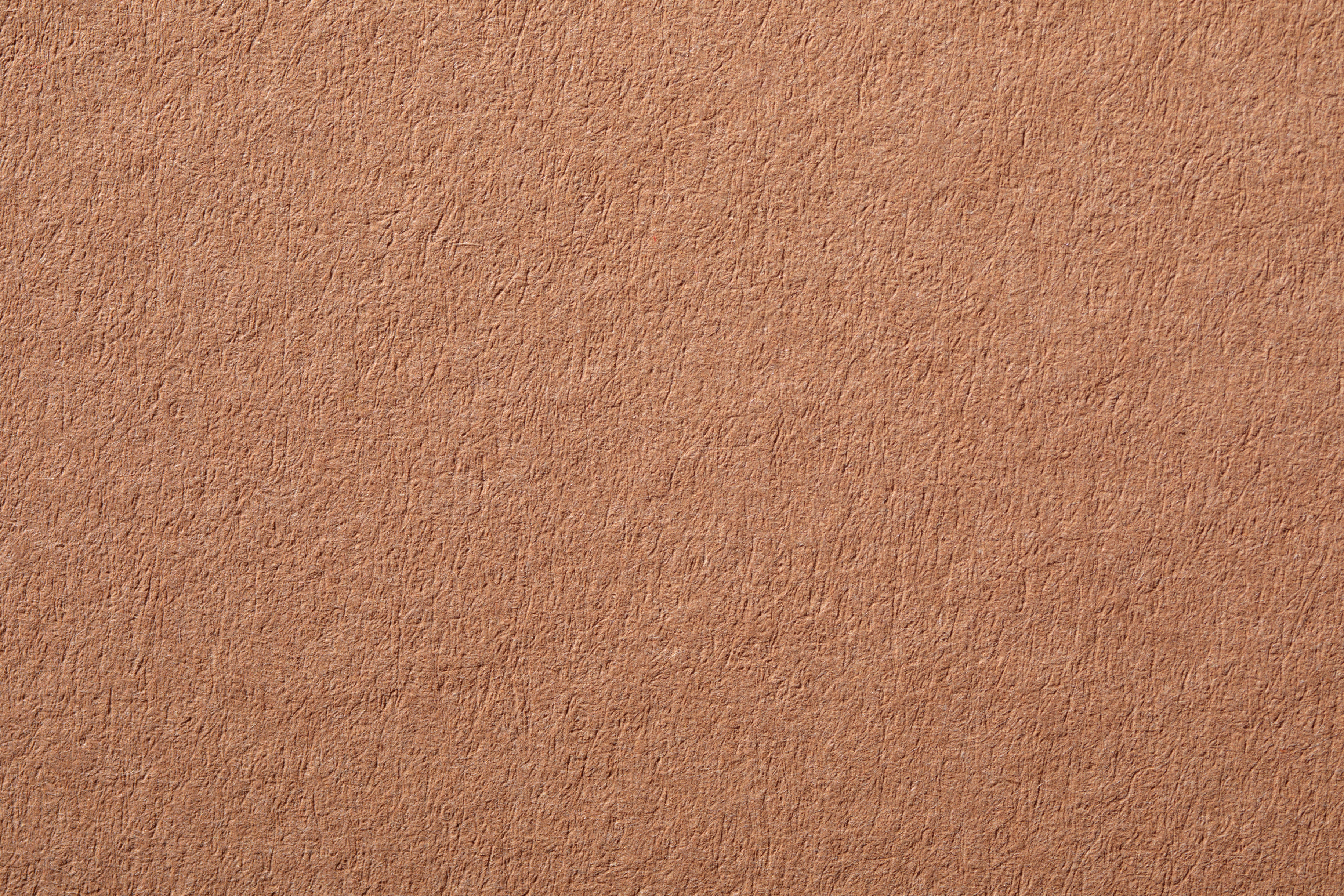 Koehler-Eco_Mud